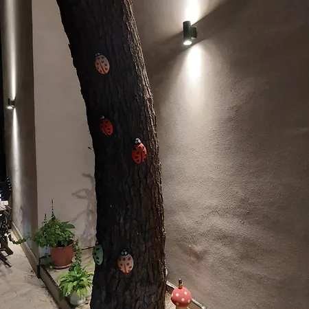 Σπίτι διακοπών Nio Planet Golem, Durres Golem (Tirana)